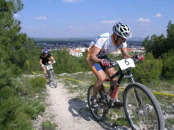 Apartment Igor & Dragica *